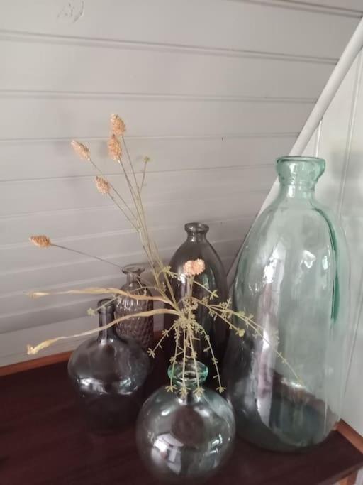 Micro Maison Isba Sedan Givonne Luaran gambar